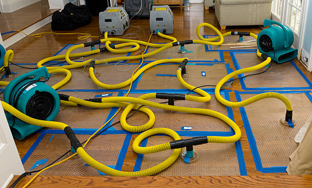 Professional Water Extraction technician working in Lake George, MI