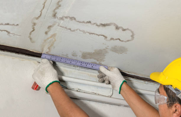 Affordable Water Damage Repair solutions in Lake George, MI